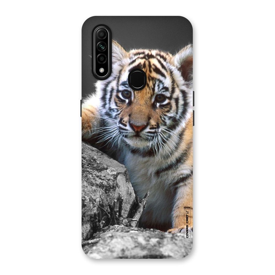 Animal Beauty Back Case for Oppo A31