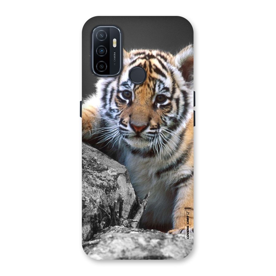 Animal Beauty Back Case for Oppo A32