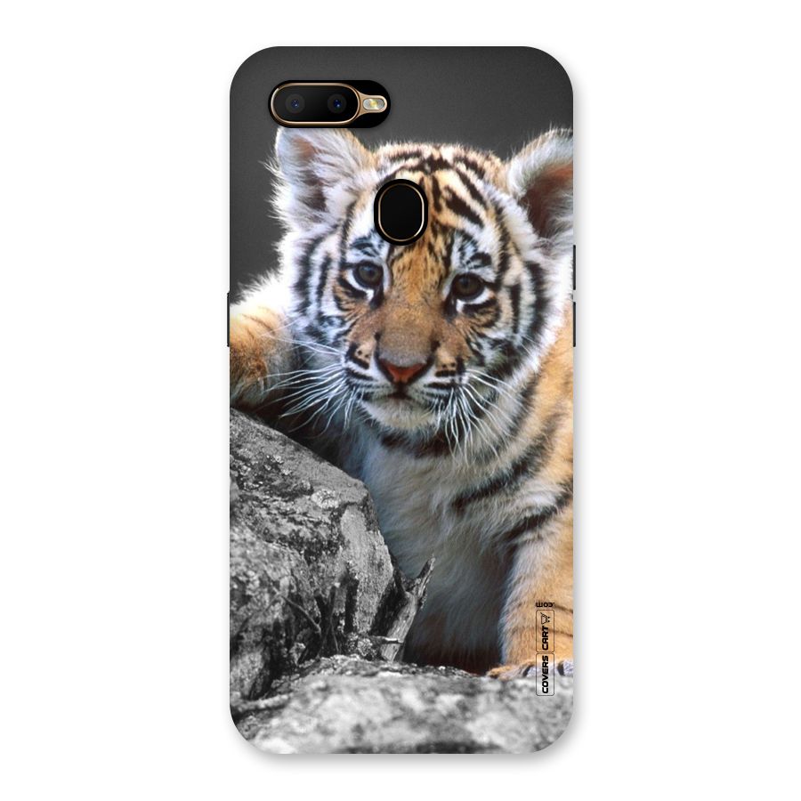 Animal Beauty Back Case for Oppo A5s