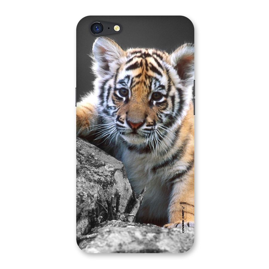 Animal Beauty Back Case for Oppo A71
