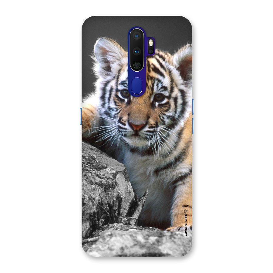 Animal Beauty Back Case for Oppo A9 (2020)