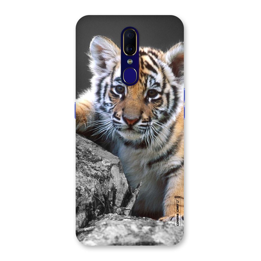 Animal Beauty Back Case for Oppo F11