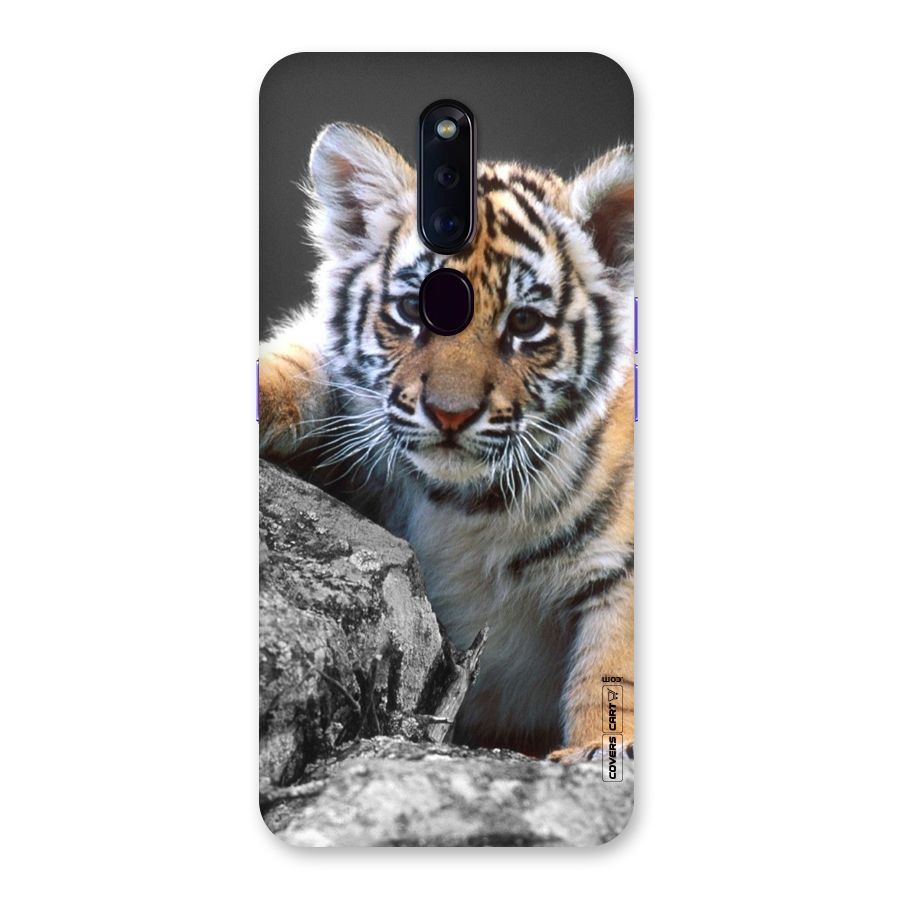 Animal Beauty Back Case for Oppo F11 Pro