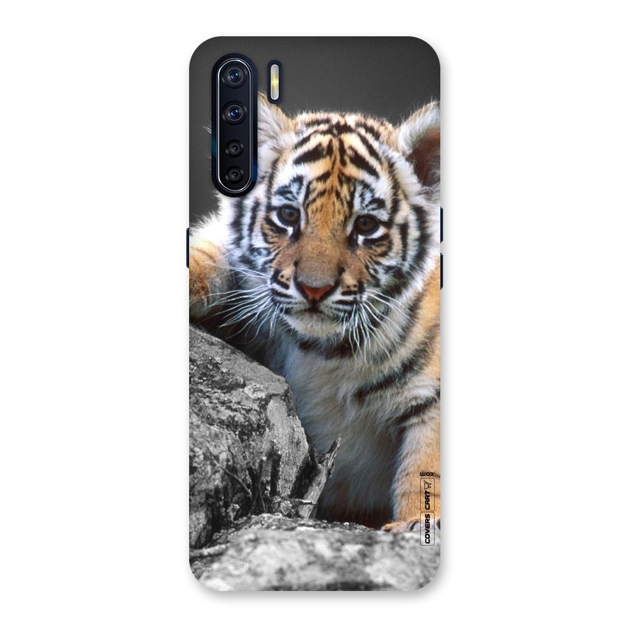Animal Beauty Back Case for Oppo F15