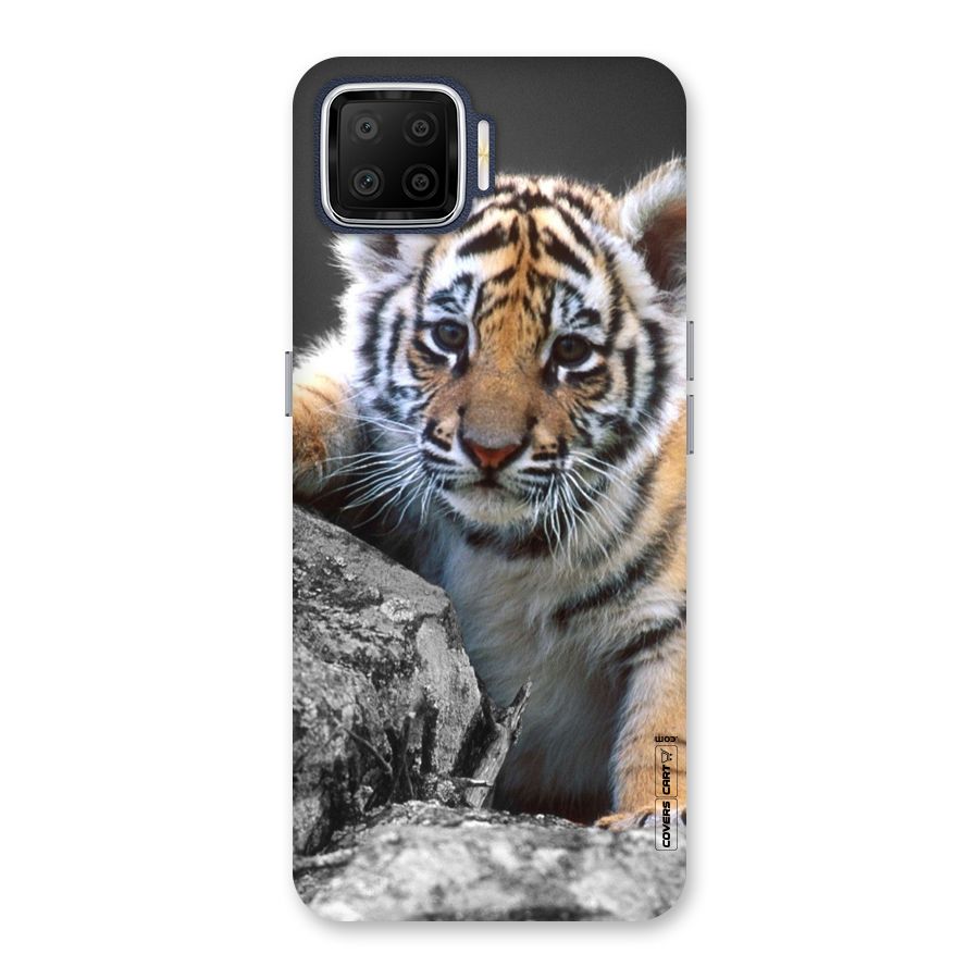 Animal Beauty Back Case for Oppo F17