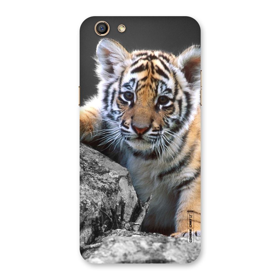 Animal Beauty Back Case for Oppo F3