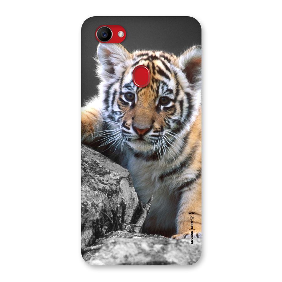 Animal Beauty Back Case for Oppo F7