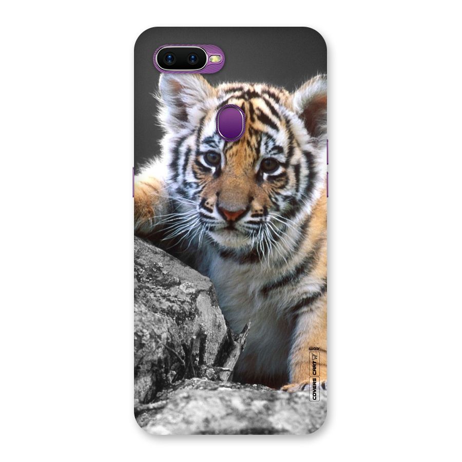 Animal Beauty Back Case for Oppo F9