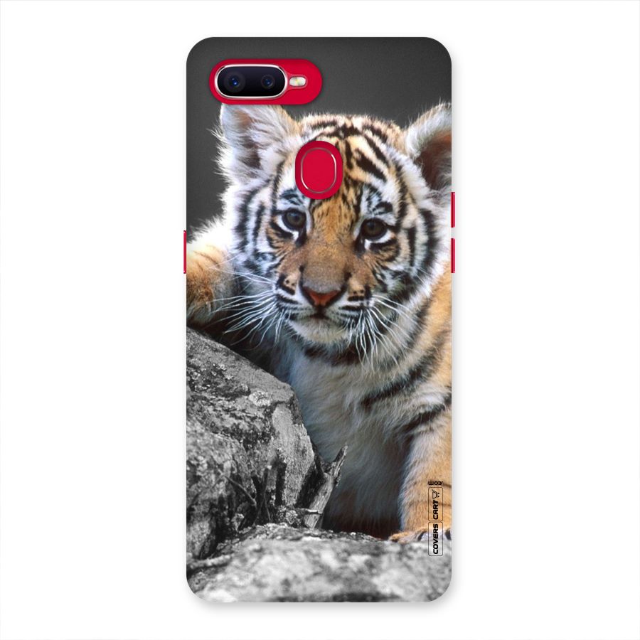 Animal Beauty Back Case for Oppo F9 Pro