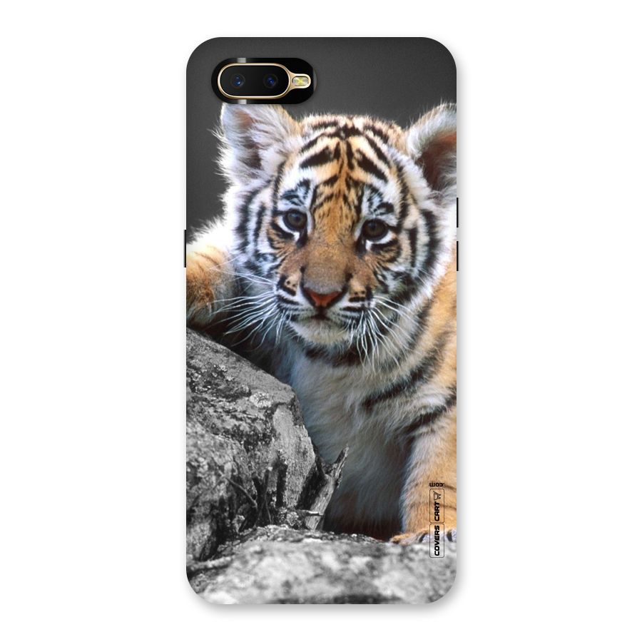 Animal Beauty Back Case for Oppo K1