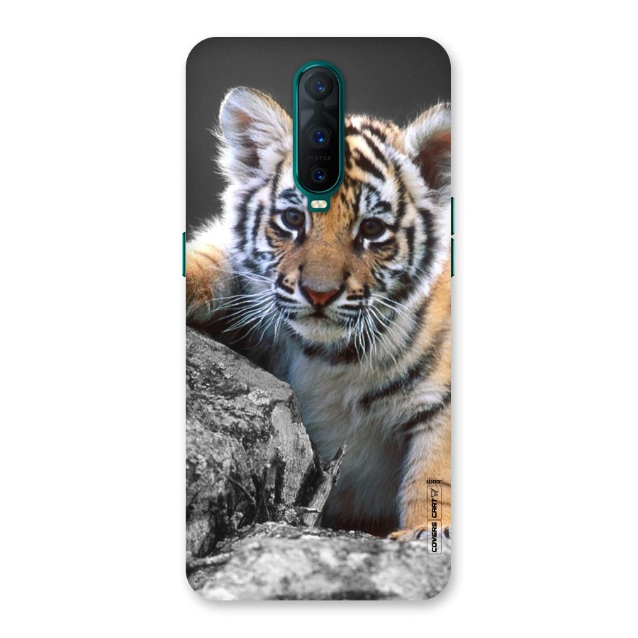 Animal Beauty Back Case for Oppo R17 Pro