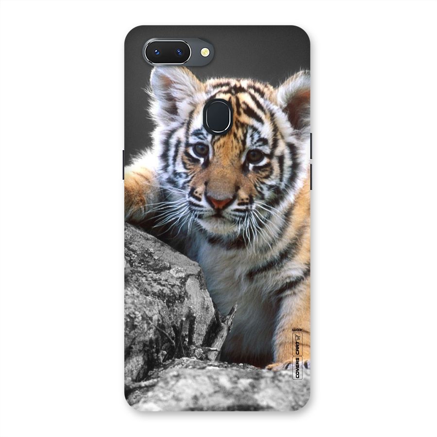 Animal Beauty Back Case for Oppo Realme 2