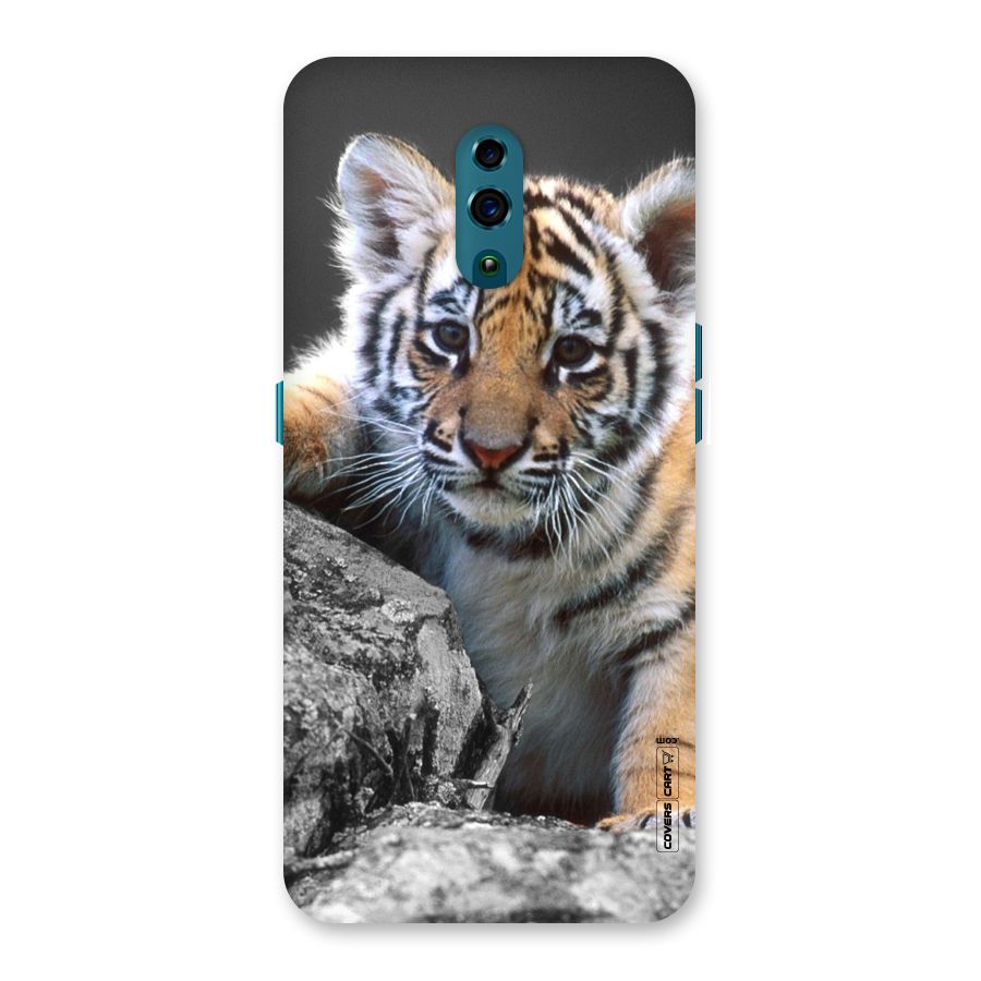 Animal Beauty Back Case for Oppo Reno