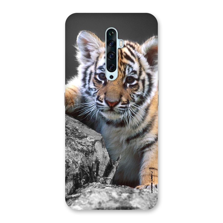 Animal Beauty Back Case for Oppo Reno2 Z