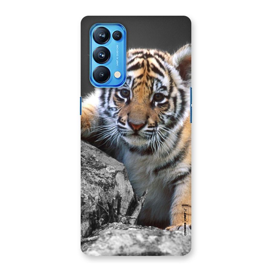 Animal Beauty Back Case for Oppo Reno5 Pro 5G