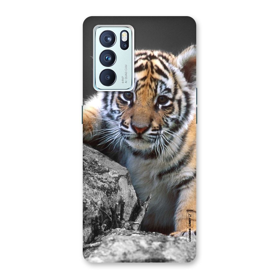 Animal Beauty Back Case for Oppo Reno6 Pro 5G