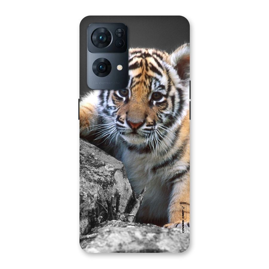 Animal Beauty Back Case for Oppo Reno7 Pro 5G