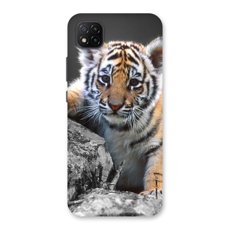 Animal Beauty Back Case for Poco C3
