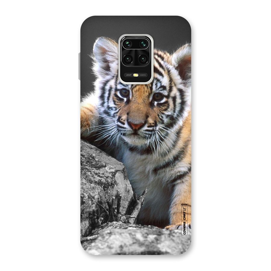 Animal Beauty Back Case for Poco M2 Pro