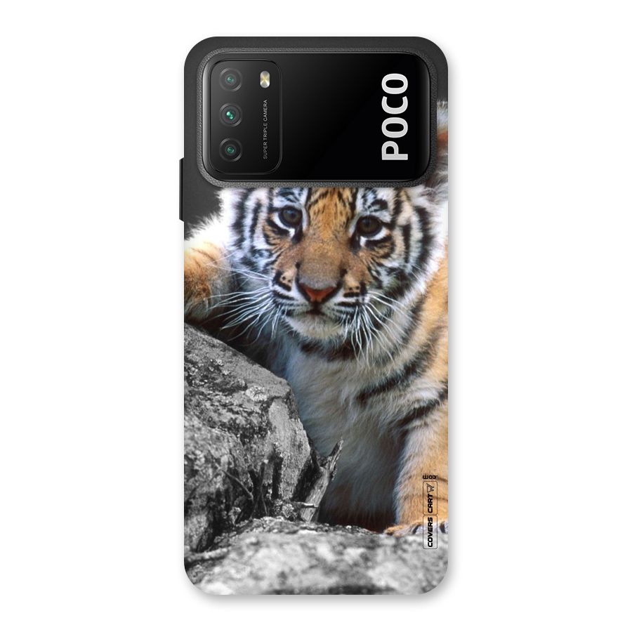 Animal Beauty Back Case for Poco M3
