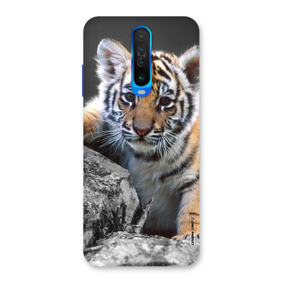 Animal Beauty Back Case for Poco X2