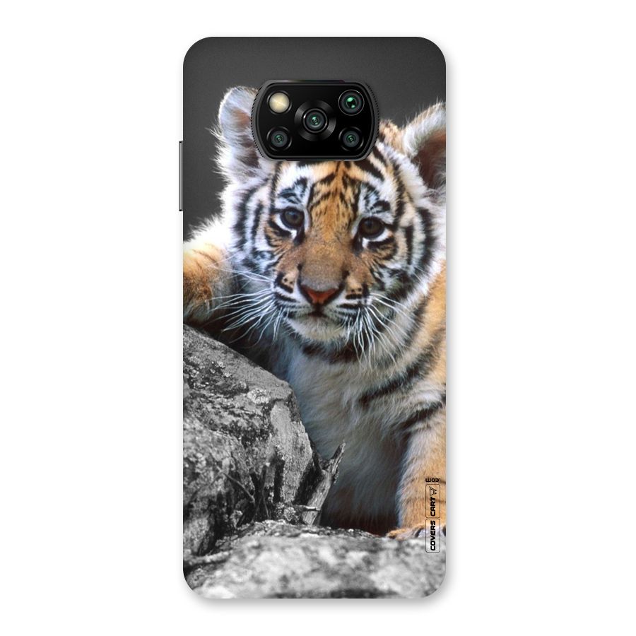 Animal Beauty Back Case for Poco X3