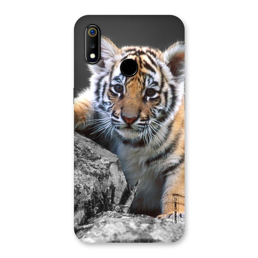 Animal Beauty Back Case for Realme 3
