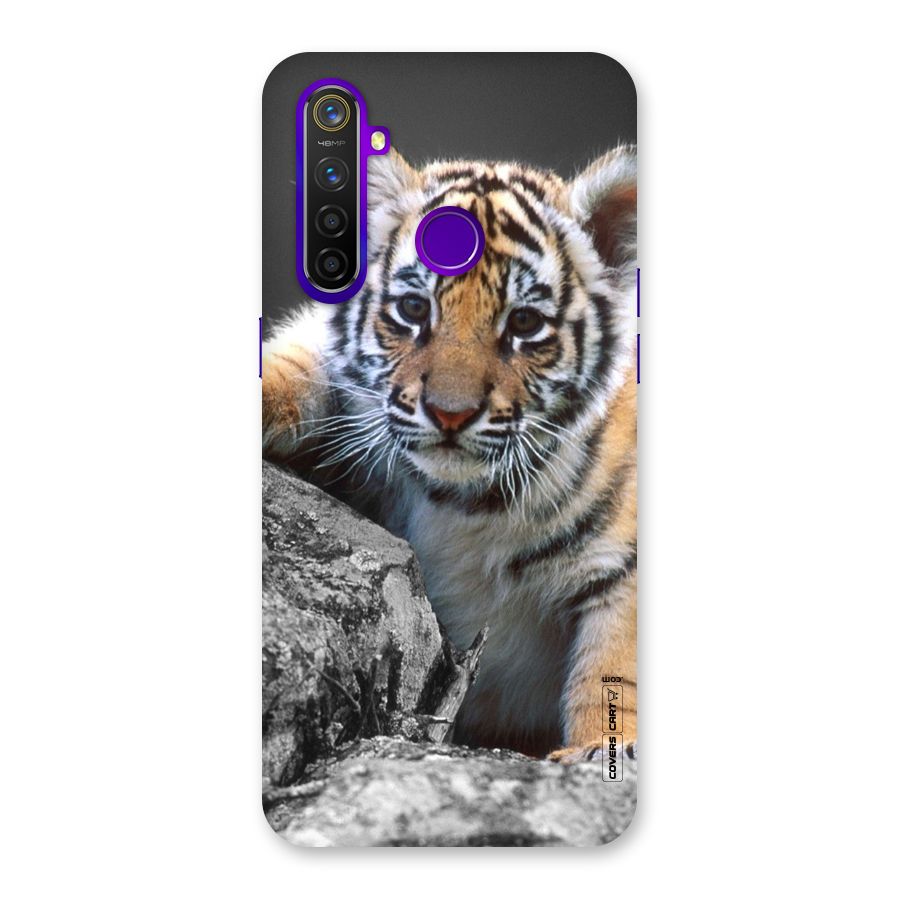Animal Beauty Back Case for Realme 5 Pro