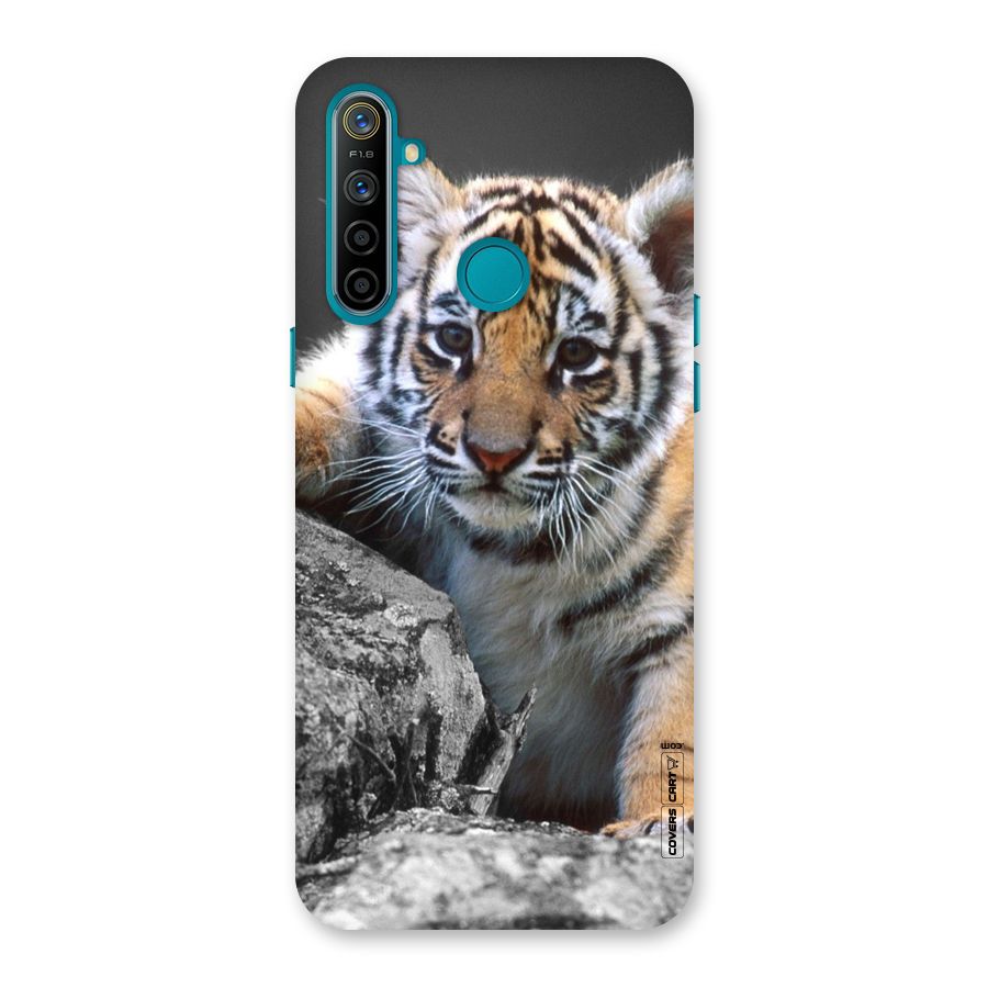 Animal Beauty Back Case for Realme 5i