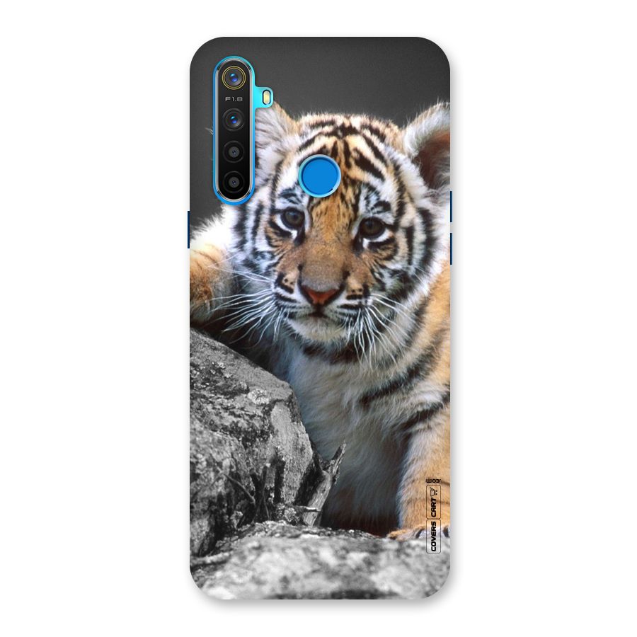 Animal Beauty Back Case for Realme 5s