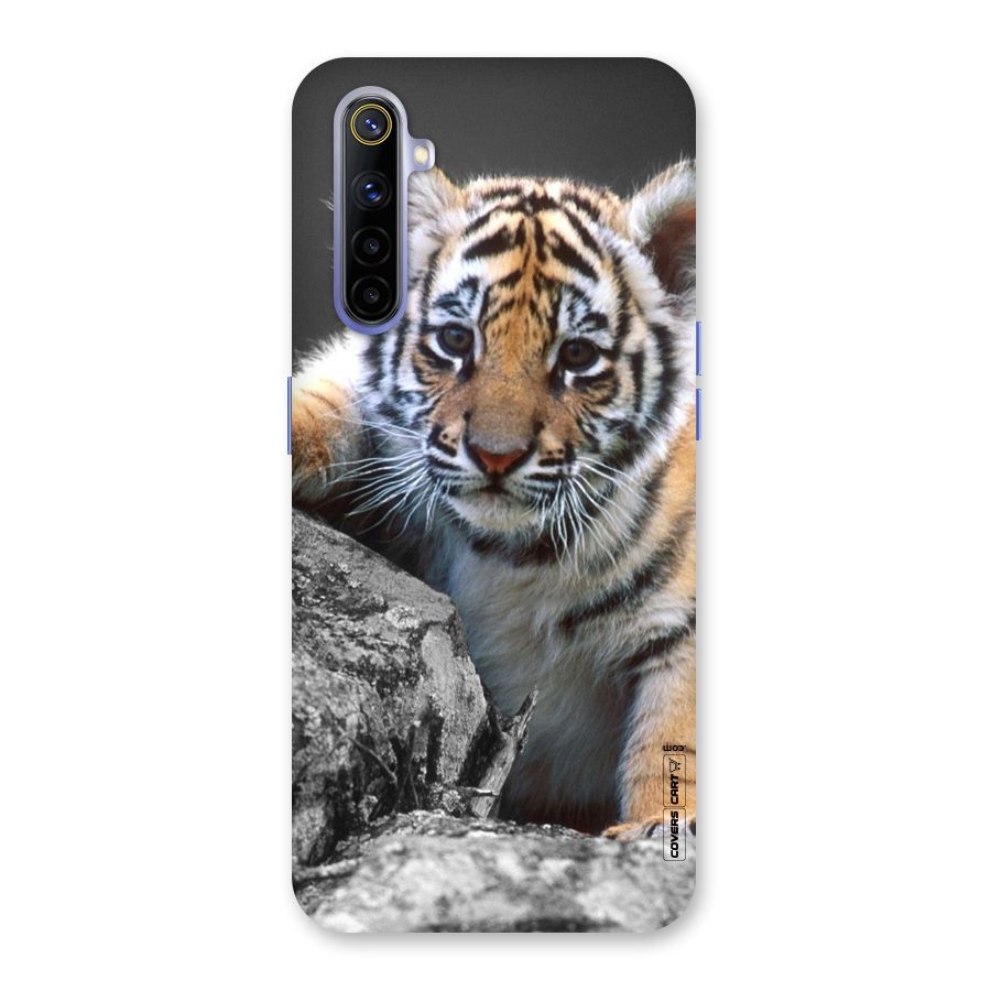 Animal Beauty Back Case for Realme 6i