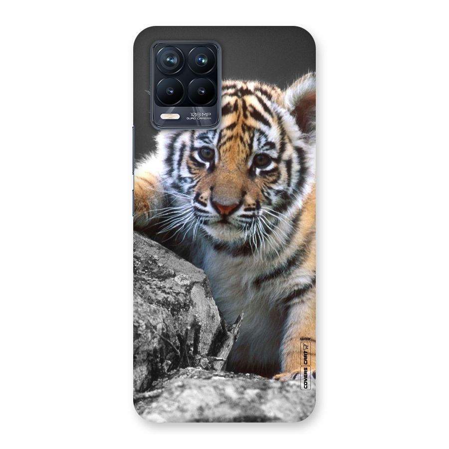 Animal Beauty Back Case for Realme 8 Pro