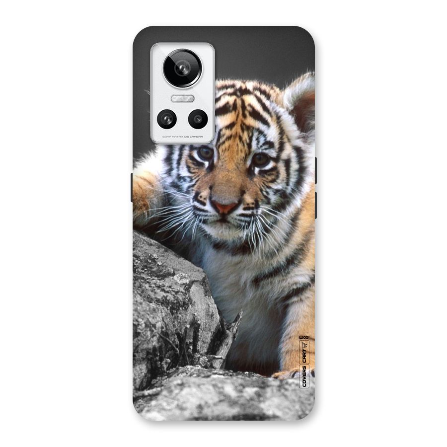 Animal Beauty Back Case for Realme GT Neo 3