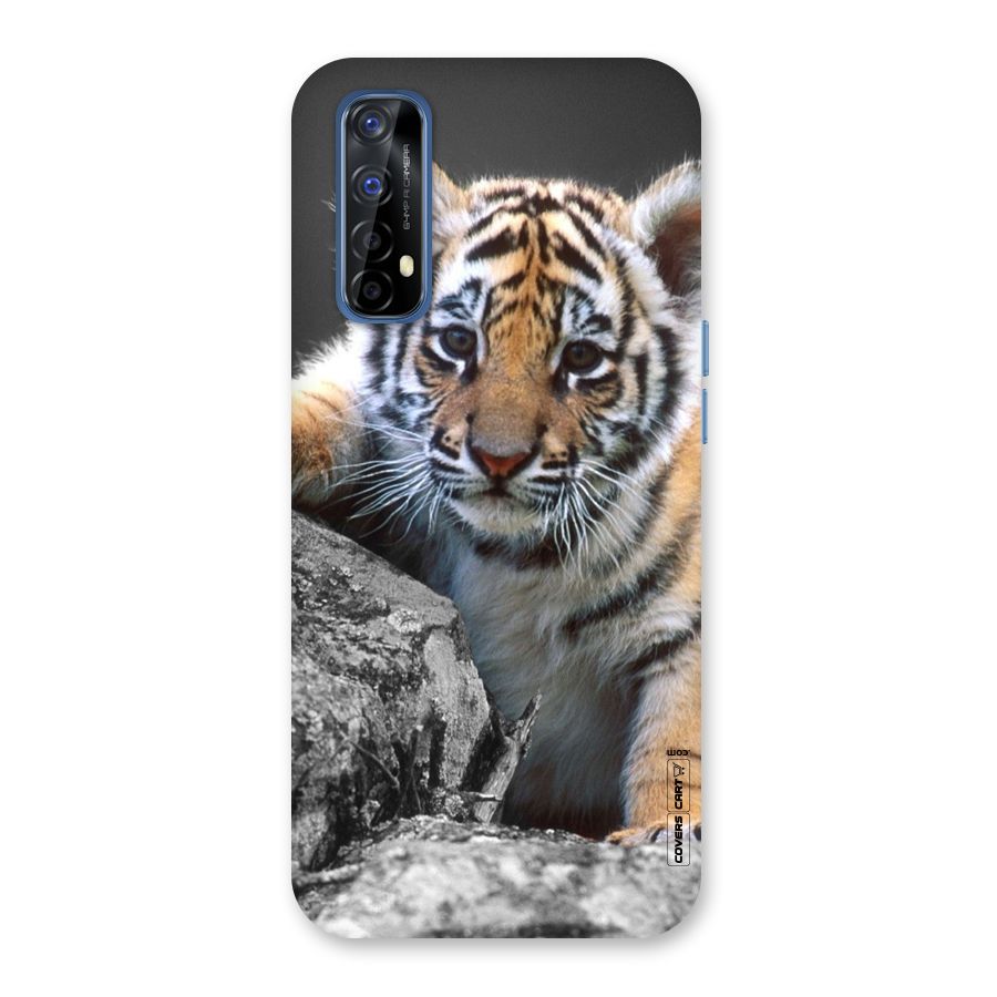 Animal Beauty Back Case for Realme Narzo 20 Pro