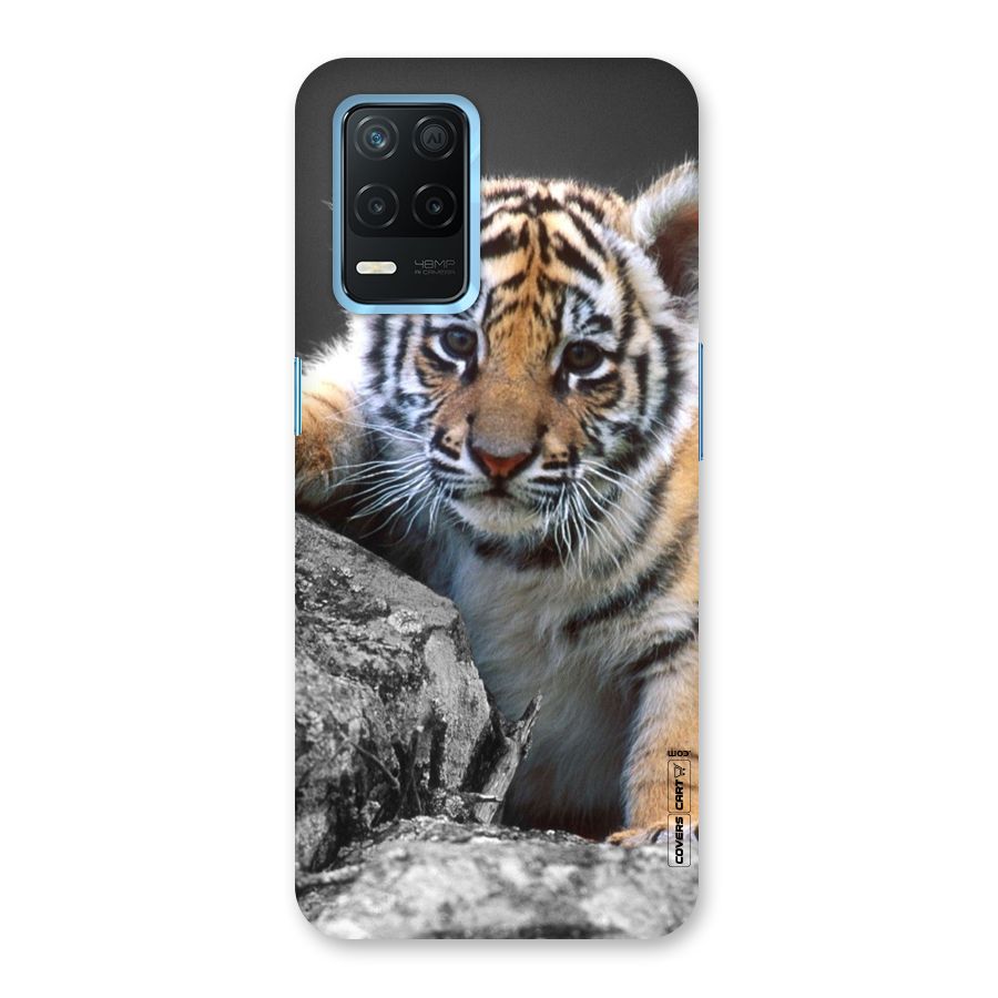 Animal Beauty Back Case for Realme Narzo 30 5G