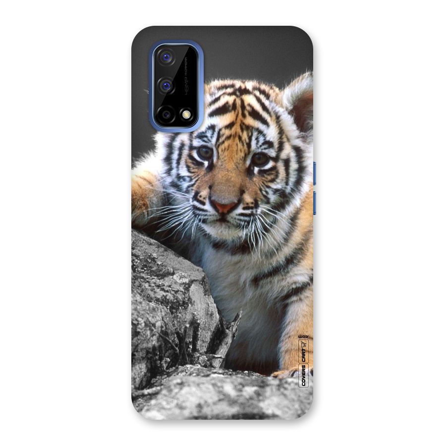 Animal Beauty Back Case for Realme Narzo 30 Pro