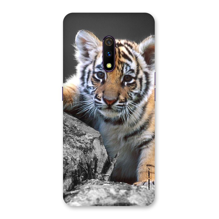 Animal Beauty Back Case for Realme X