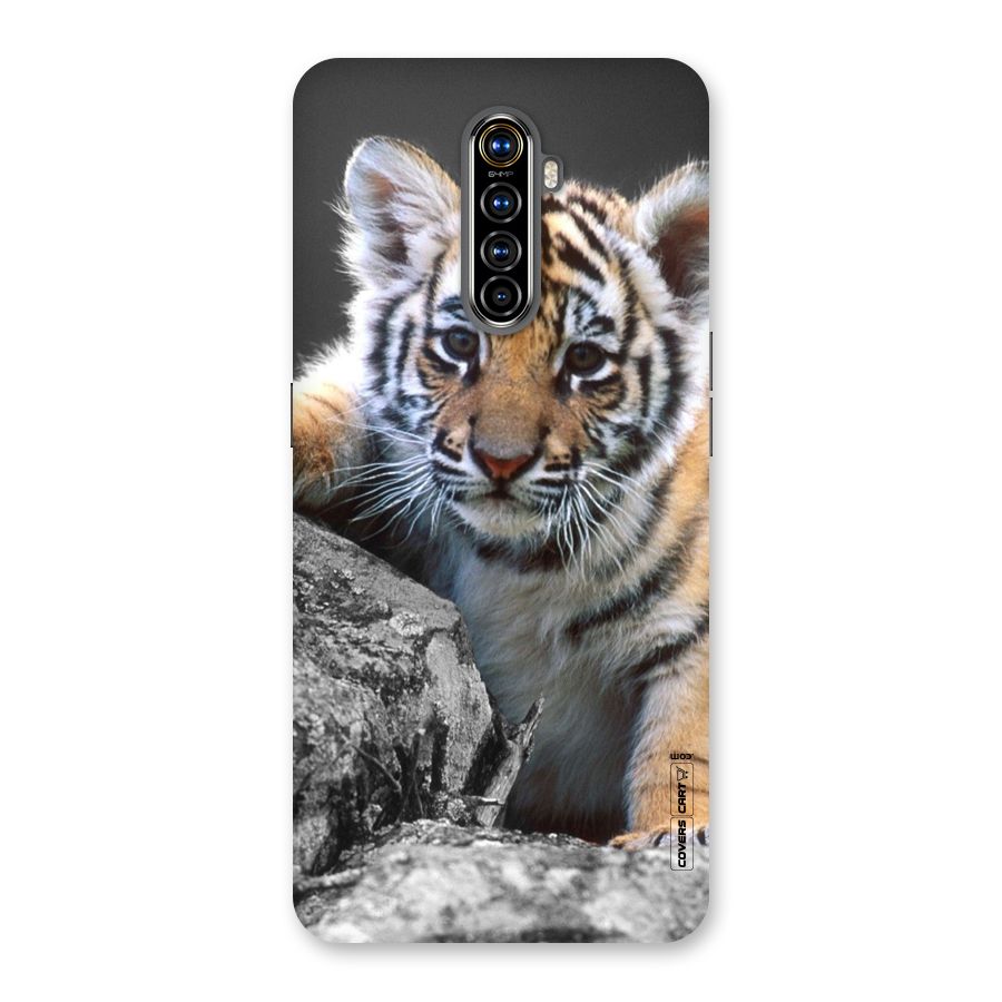 Animal Beauty Back Case for Realme X2 Pro