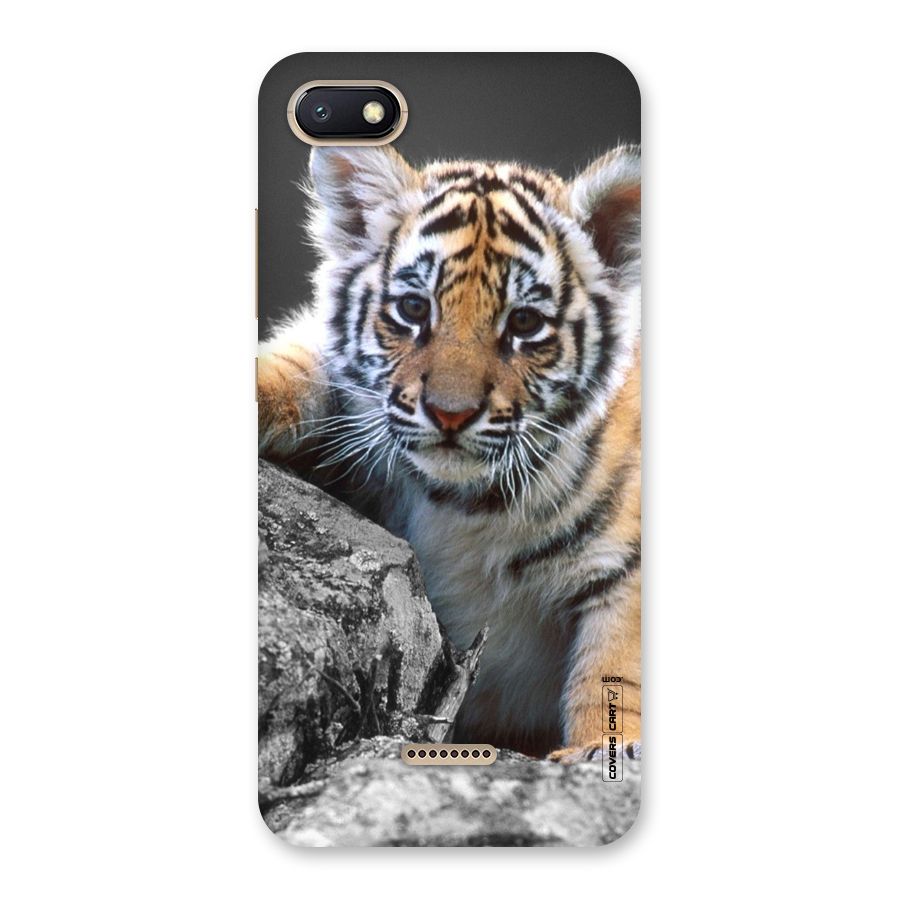 Animal Beauty Back Case for Redmi 6A