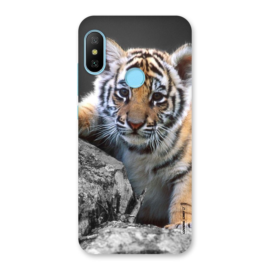 Animal Beauty Back Case for Redmi 6 Pro