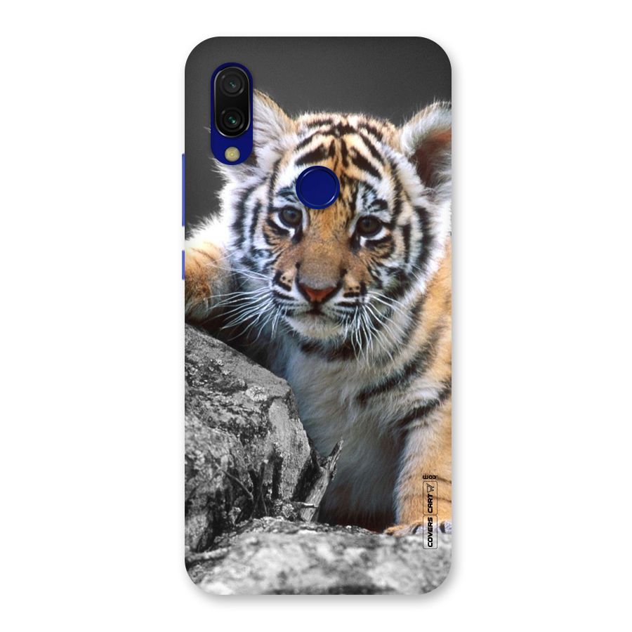 Animal Beauty Back Case for Redmi 7