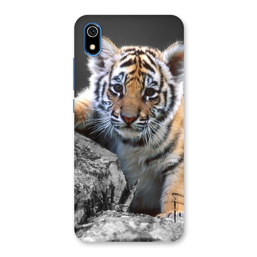 Animal Beauty Back Case for Redmi 7A