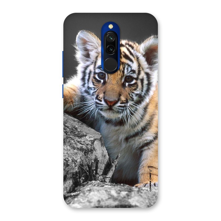 Animal Beauty Back Case for Redmi 8