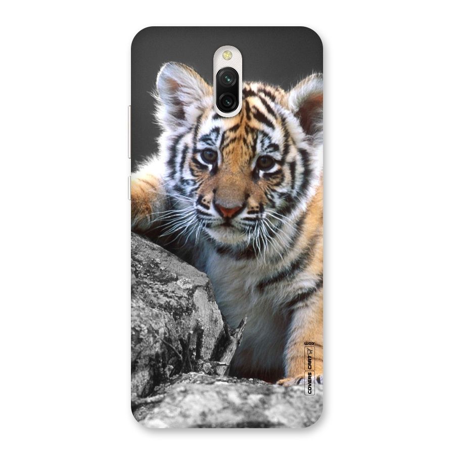 Animal Beauty Back Case for Redmi 8A Dual