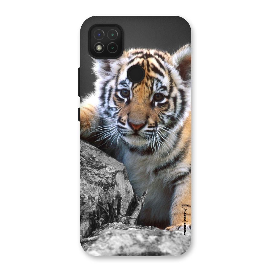 Animal Beauty Back Case for Redmi 9