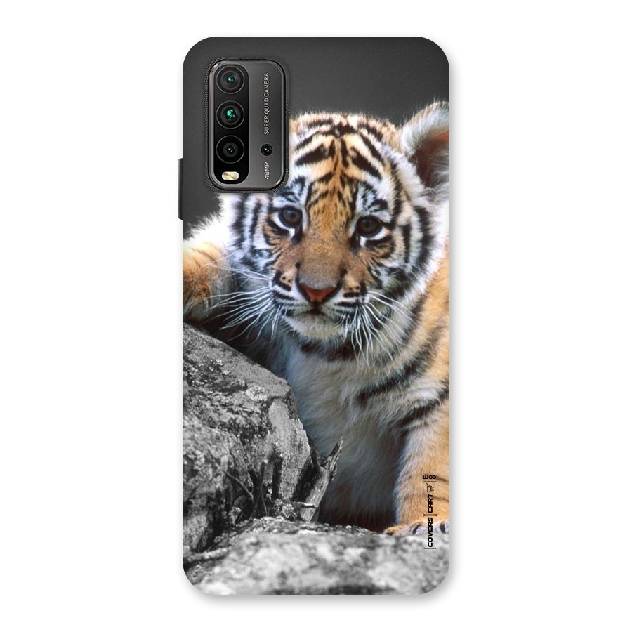 Animal Beauty Back Case for Redmi 9 Power