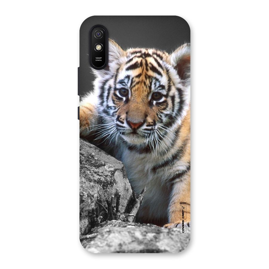 Animal Beauty Back Case for Redmi 9i