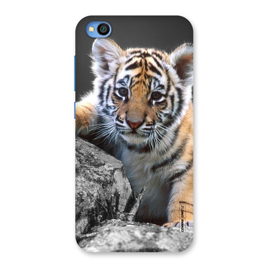 Animal Beauty Back Case for Redmi Go
