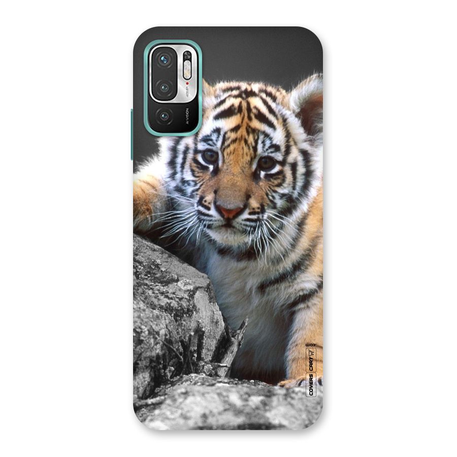Animal Beauty Back Case for Redmi Note 10T 5G