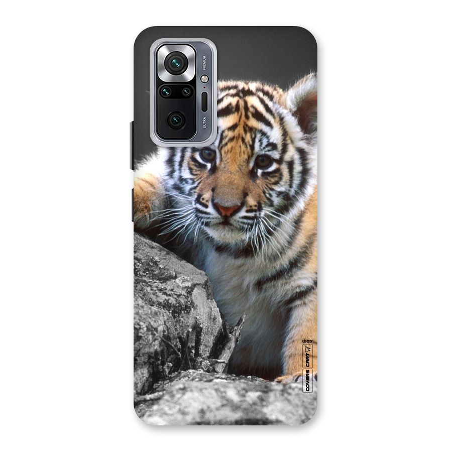 Animal Beauty Back Case for Redmi Note 10 Pro Max